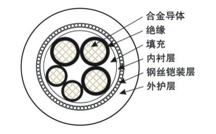 细钢丝铠装合金电缆