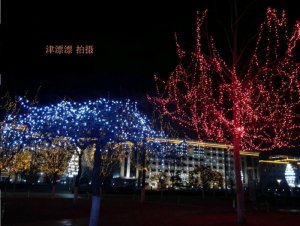 天津杨柳青景区 万盏彩灯火树银花