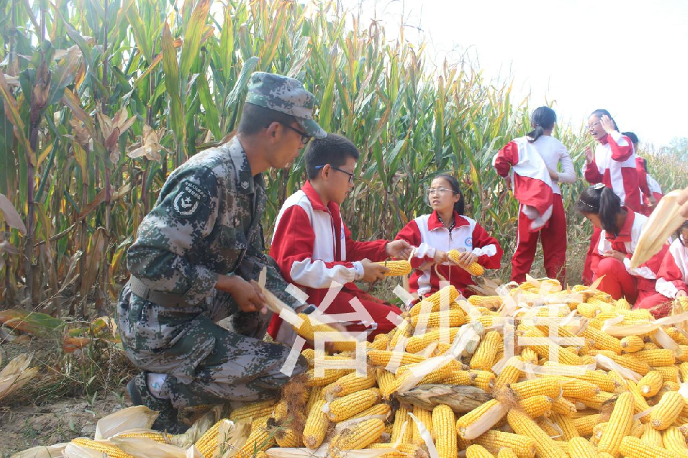 补浪河女子民兵治沙连教育基地初体验：广阔天地，趣味无穷