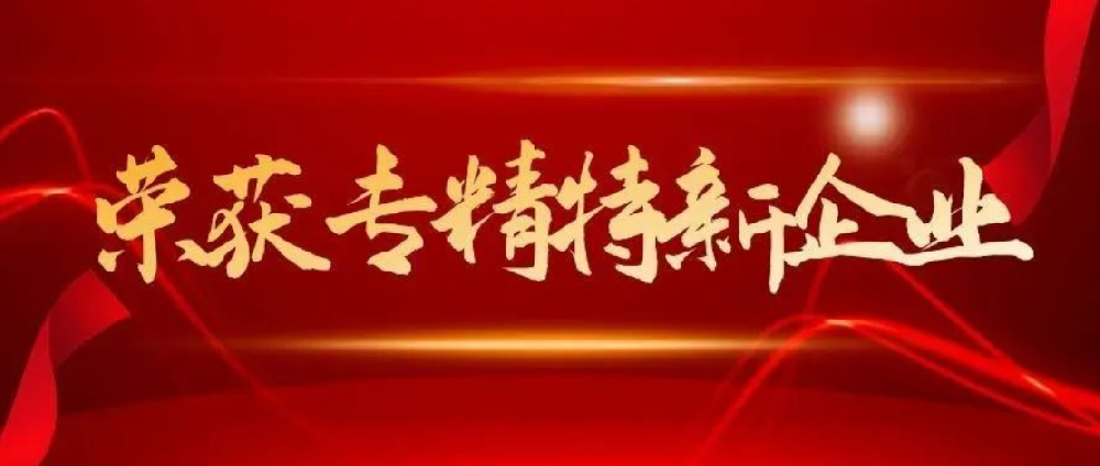 祝贺！顺利通过“专精特新”企业认定