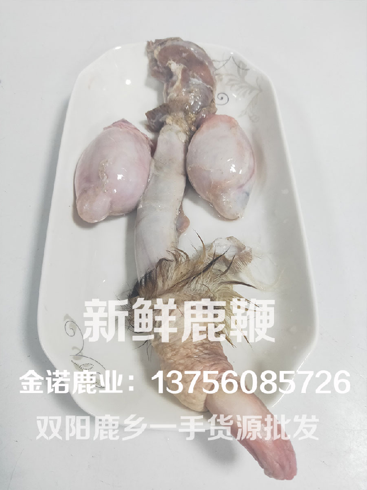 新鲜鹿鞭