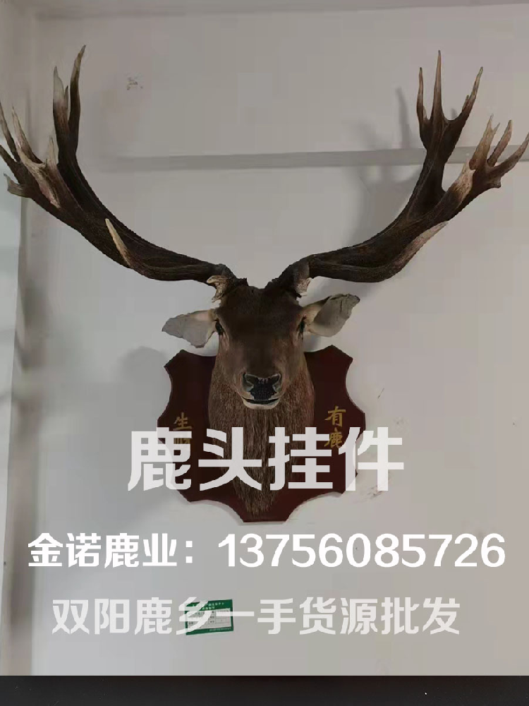 鹿头挂件